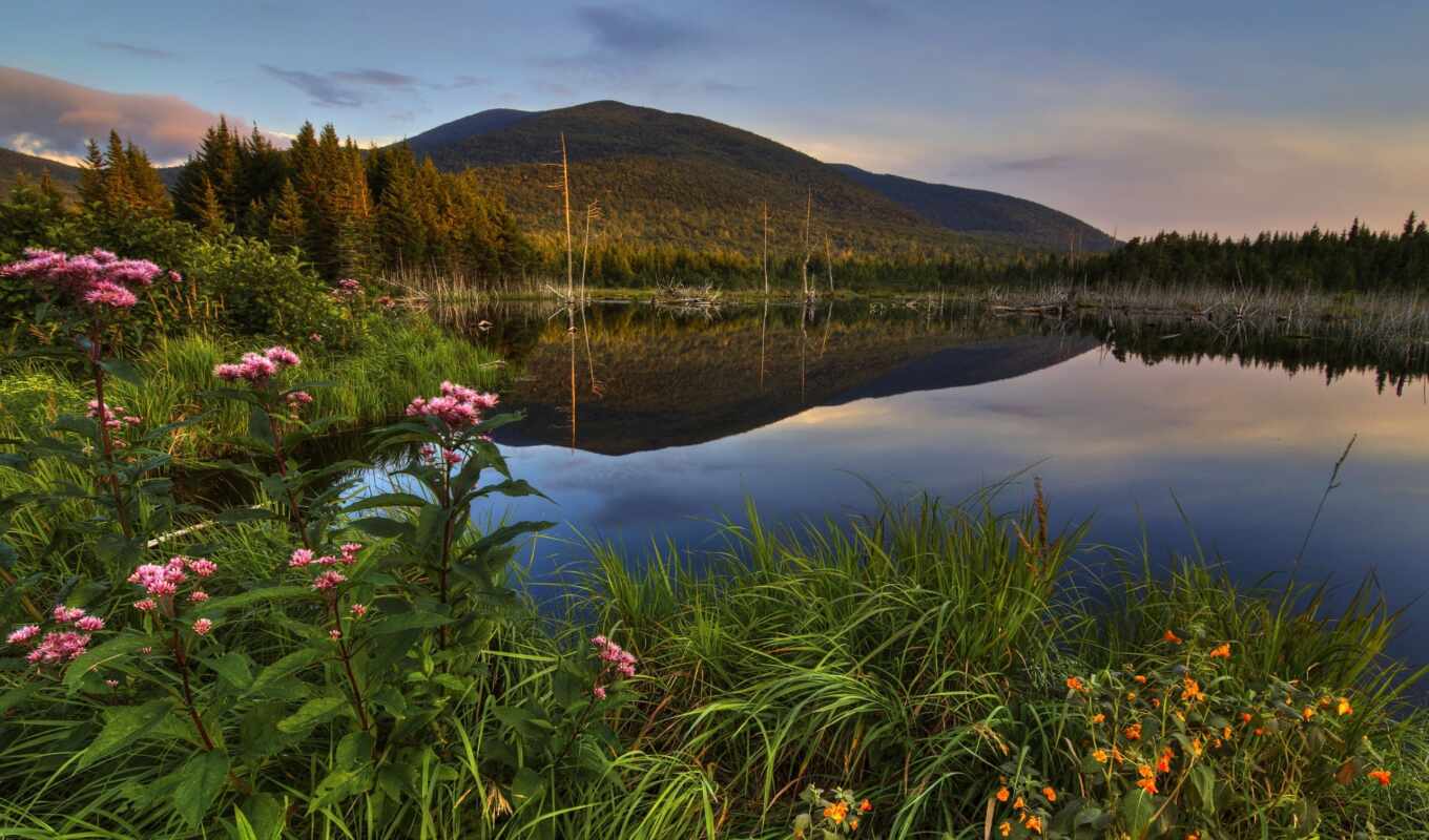 озеро, природа, трава, канада, scenery, mountains, quebec