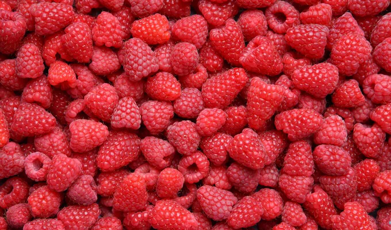 meal, raspberry, many, berries