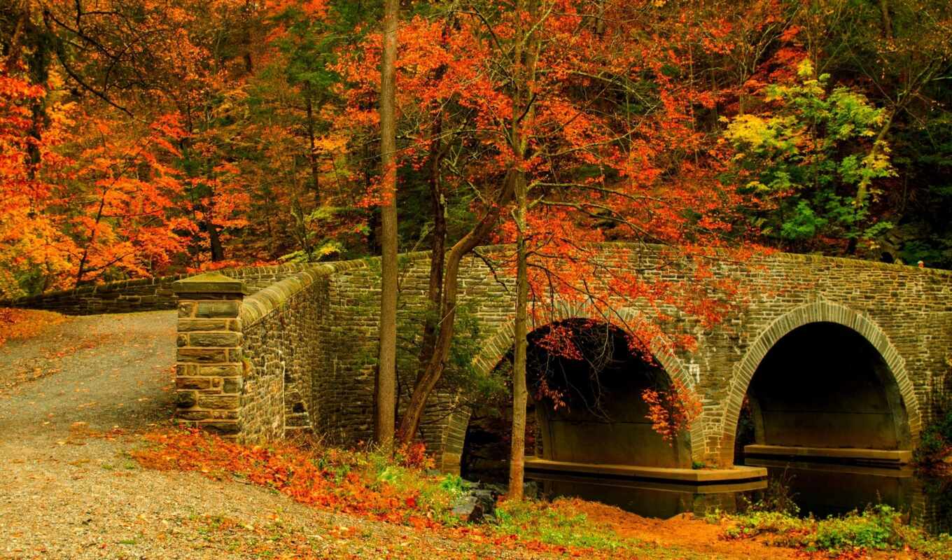 природа, лист, лес, мост, осень, fore