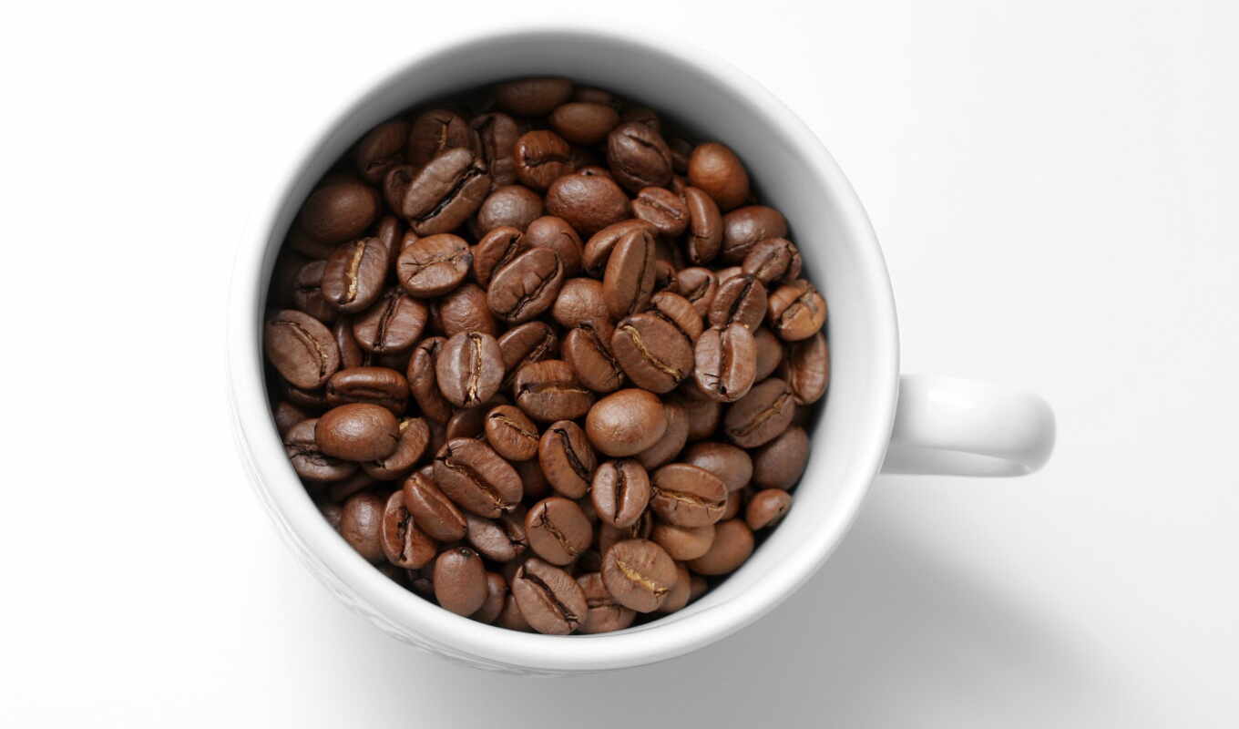 coffee, cup, bean