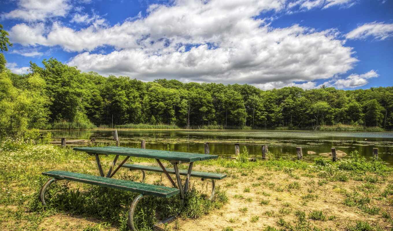 lake, sky, forest, gallery, bench, rare