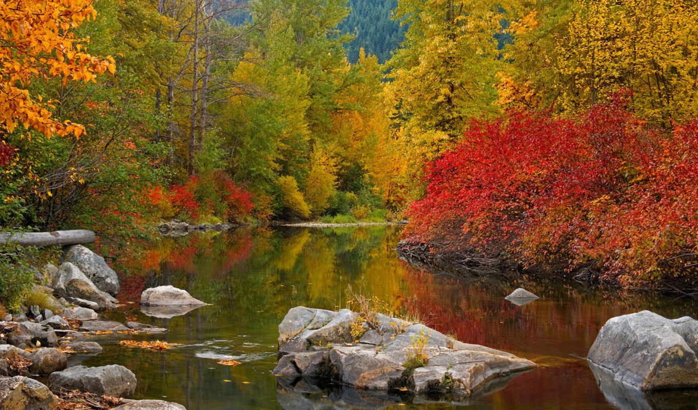 lake, paint, stone, golden, autumn, river, trees