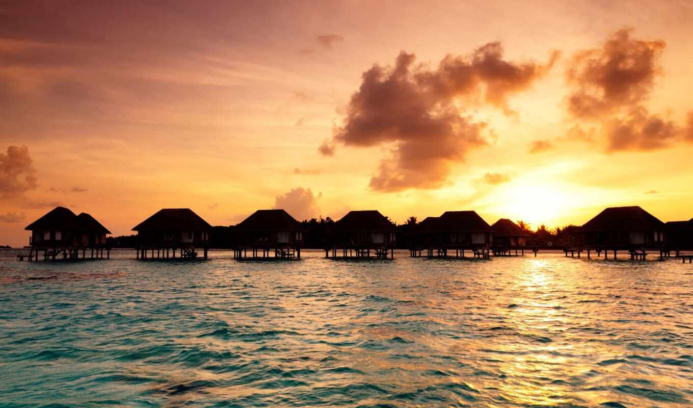 more, sol, bungal, on, image, ocean, beach, zakat, oils, maldiva, tropik