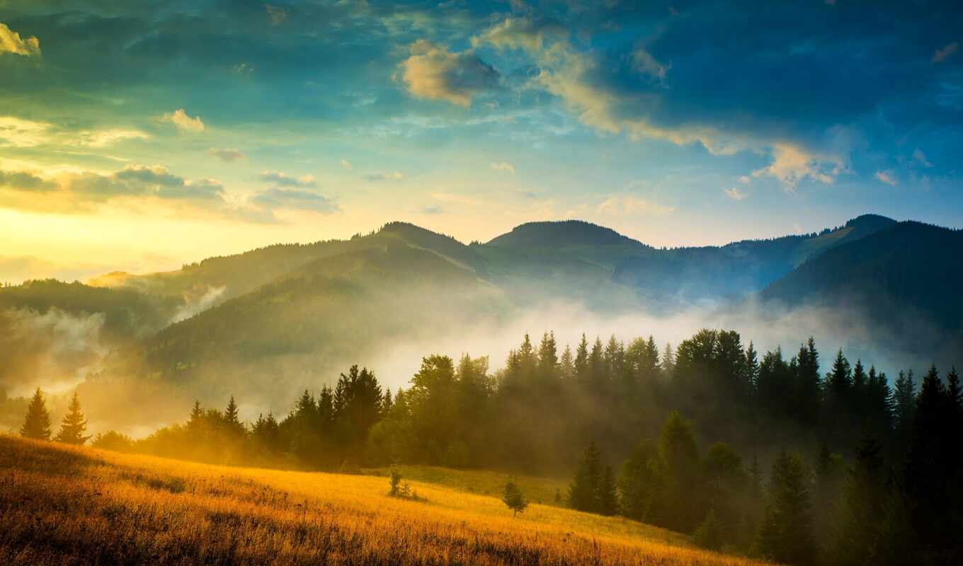 природа, дерево, гора, landscape, ukraine, красивый, эти, туман, region, карпаты