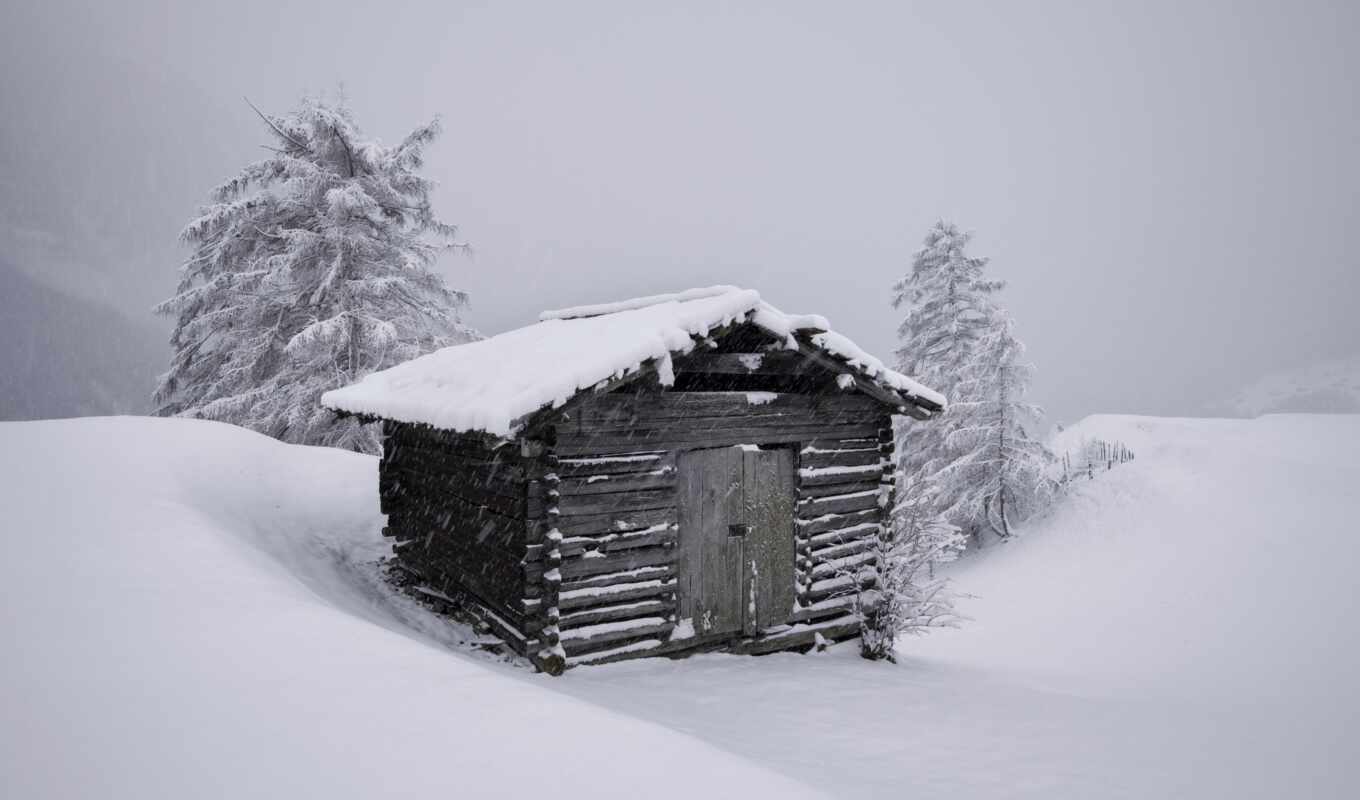 природа, фото, house, фон, дерево, снег, winter, landscape, pine, изба, кабина