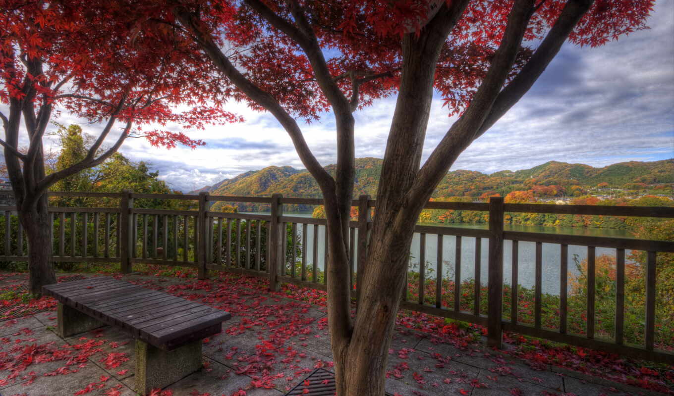 природа, страница, красавица, harmony, осень, листва, деревня, озера, скамейка, спокойствие, горы