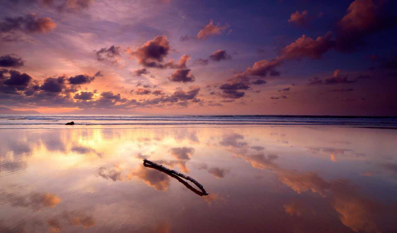 sky, sunset, evening, mirror, sea, reflection, debris, the cow, stick, cloud, purple