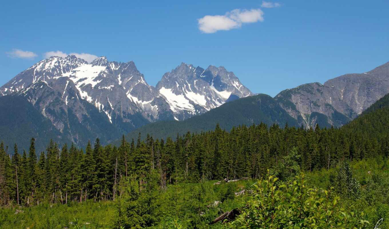 nature, desktop, free, forest, images, trees, mountains, alaska