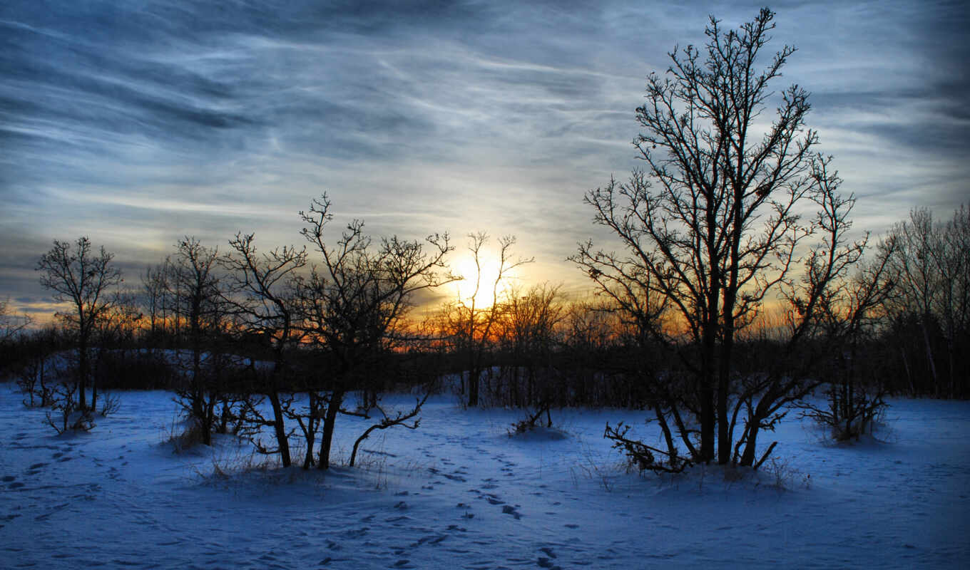 nature, sunset, snow, winter, evening