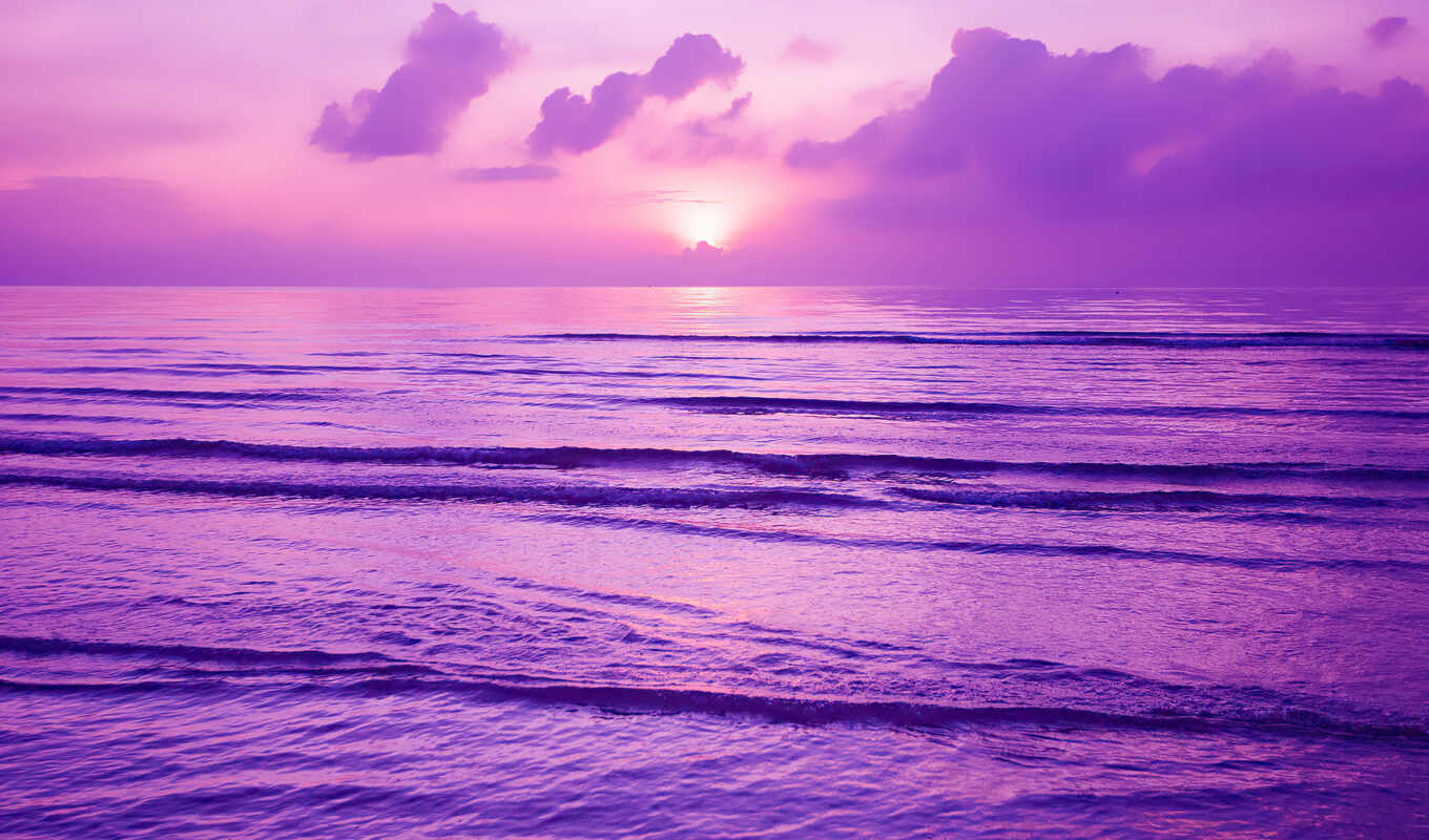 photo, background, purple, sunset