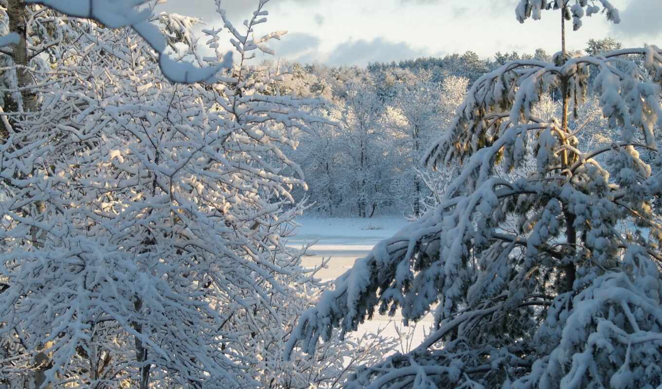 природа, игры, снег, winter, лес, новогодние, world, танки, зимние, объект