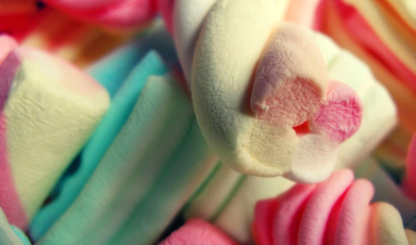 meal, macro, beautiful, sweets, candy, dessert, many, cakes, pies, marshmallow