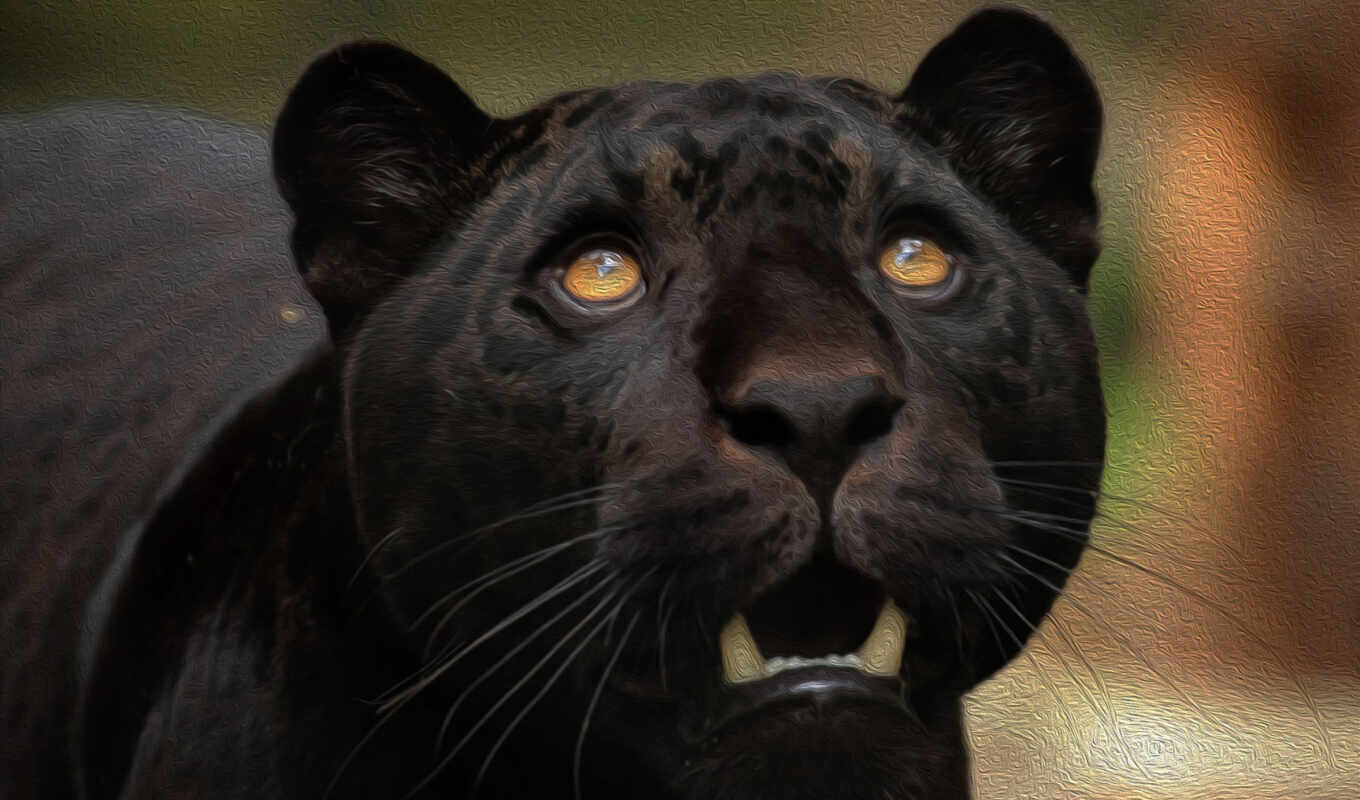 black, animal, pantalla, jaguar, panther, negra, пантер