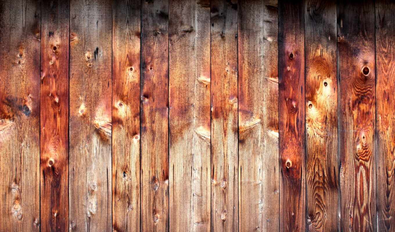 texture, tree, foliage, textures, wood boards