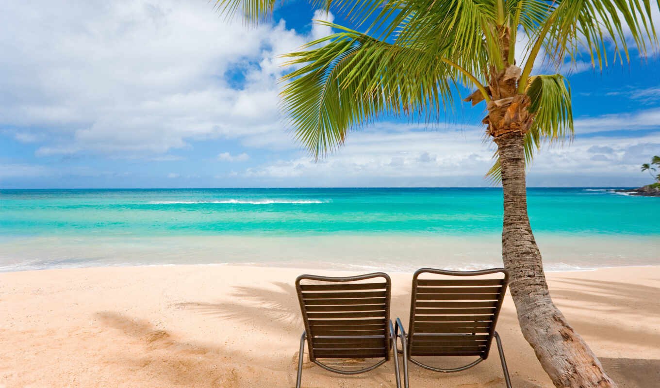 landscapes-, summer, beach, coast, palm trees, chairs, rest, warm, mood, islands, deck chairs