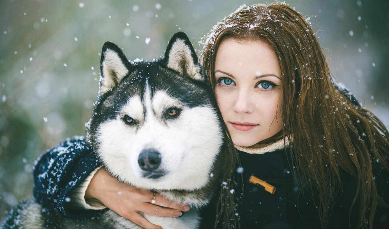 black, женщина, глаз, снег, собака, хаски, outdoors, hug, siberian