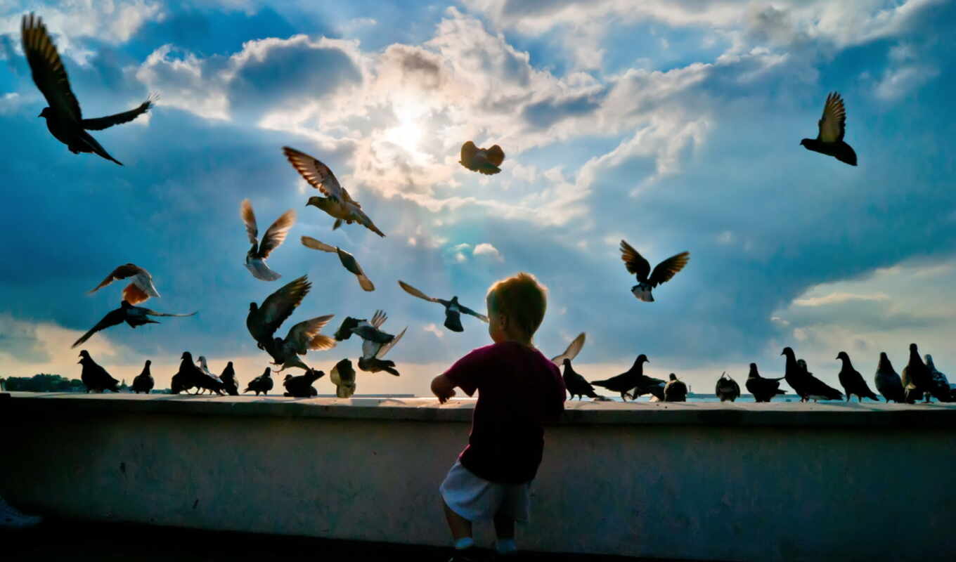 природа, небо, sun, hobby, birds, flying, ребенок, boy, голуби