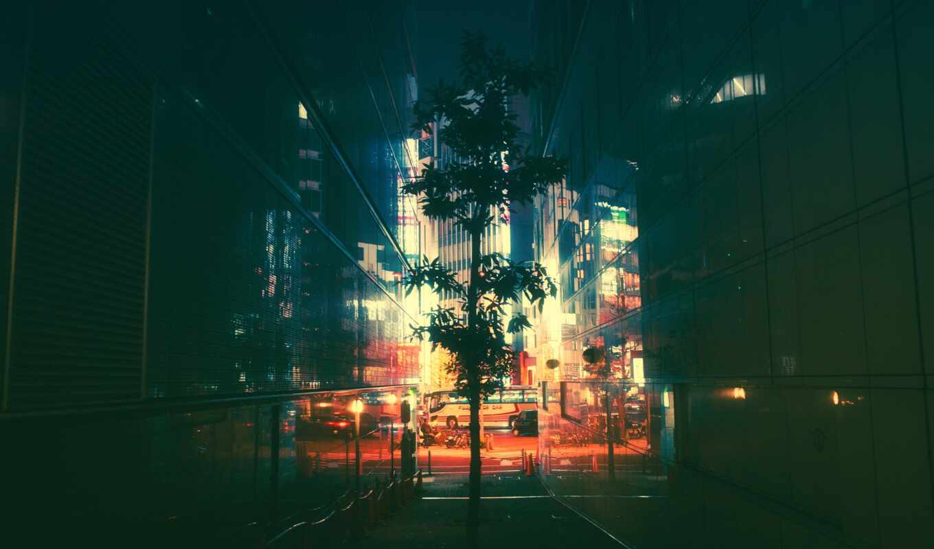 ночь, улица, neon, япония