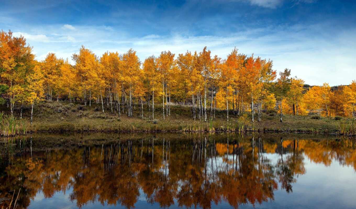 озеро, небо, landscape, осень, fore, kuza, pxfuelpage