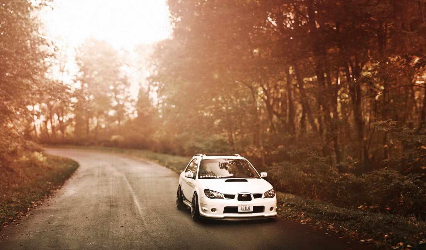 forest, road, pic, website, auto, car, rally, impreza, mobil, fore, pxfuelpage