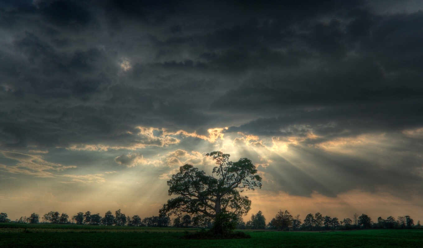 nature, the storm, suns, rays, before, backgrounds, against, a thunderstorm, clouds