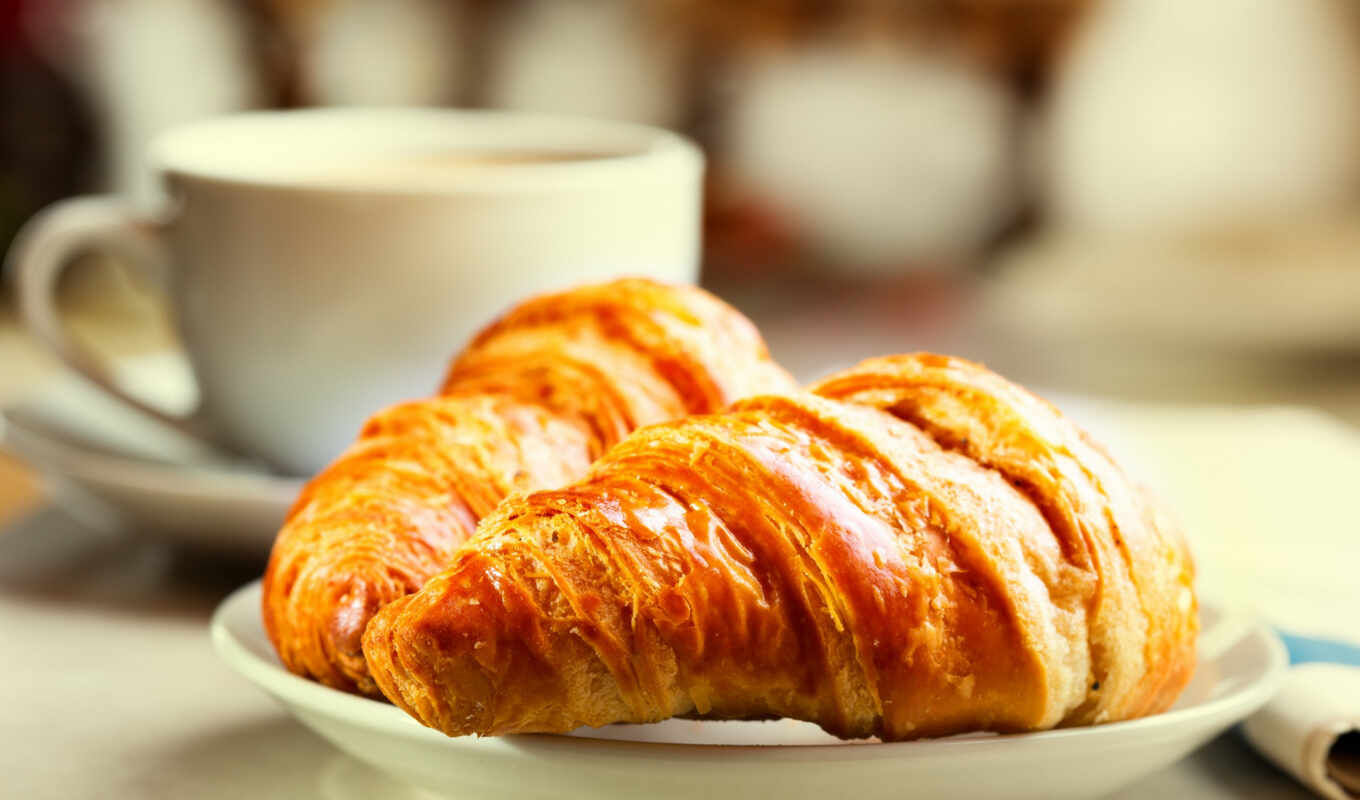 photos, home, conditions, royalty, licensee, stock, croissants, croissants, stock