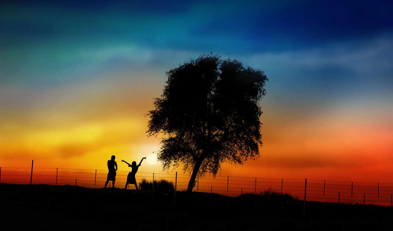 tree, sunset, couple, under, plant, more, a shadow