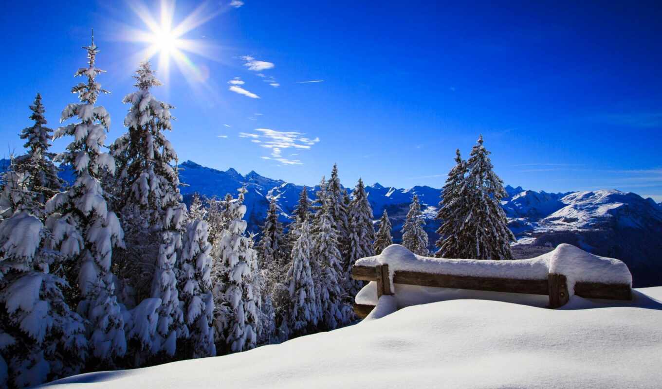 sun, снег, winter, лес, гора, fore, oir