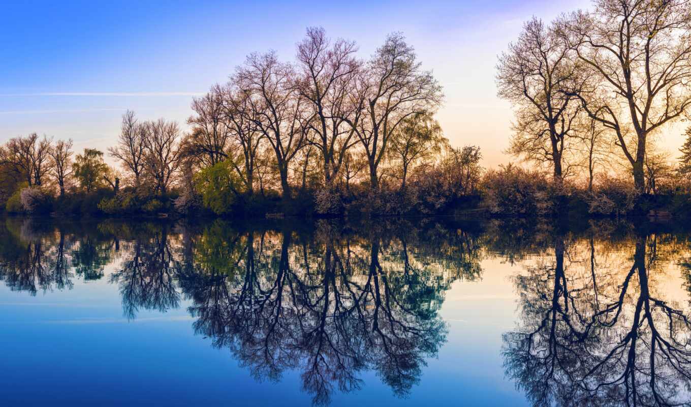 nature, tree, water, body, reflection