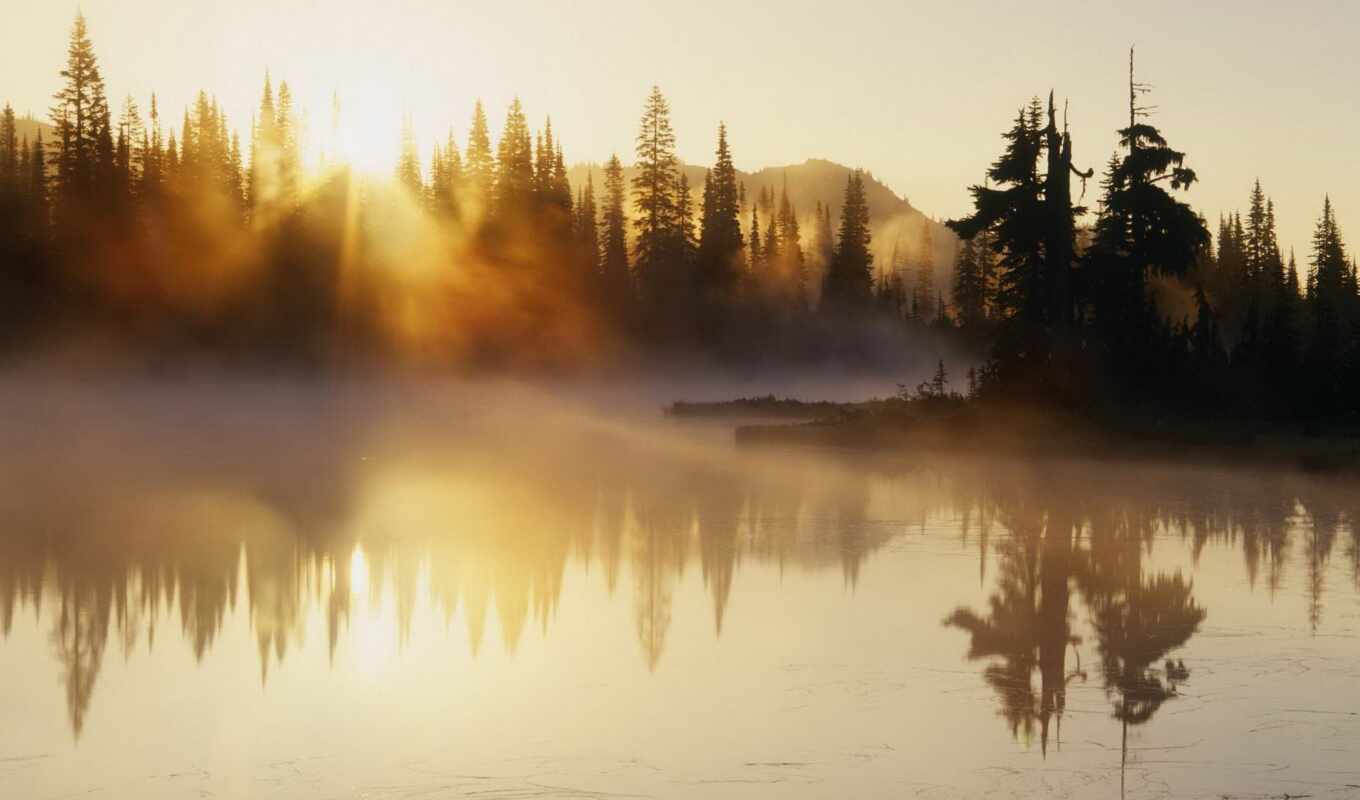 рассвет, утро, река, туман