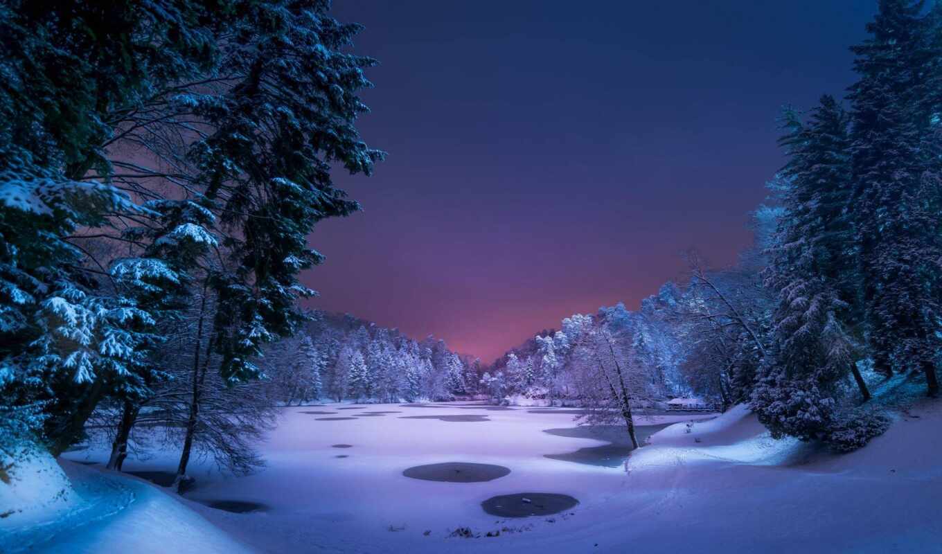 lake, night, snow, winter, forest