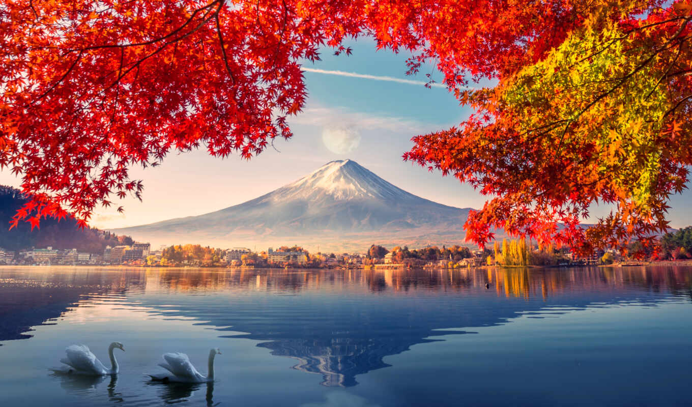 colorful, mountain, square, autumn, morning, season, swan, display, kyoto
