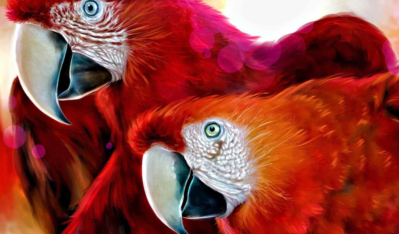 red, bird, a parrot, animal, scarlet, macaw