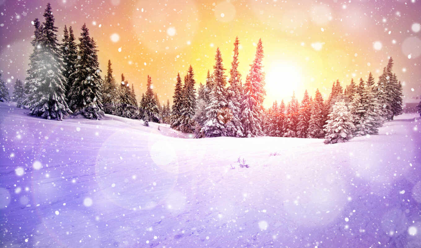 snow, winter, screensavers, beautiful, winter, christmas trees, eli, crops, so that, snow