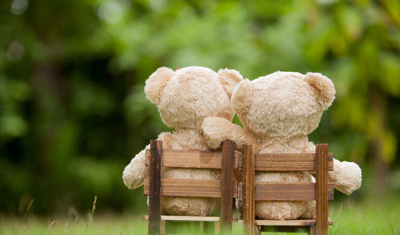 кресло, браун, медведь, два, wooden, sit, lovely, toy, teddy, medvezhonok