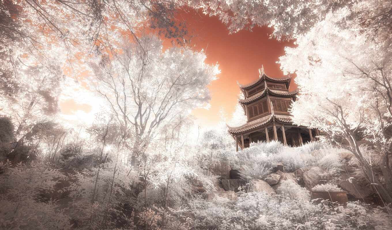 creative, tree, architecture, temple, system, Japan, chinese woman, infrared, pagoda, vet, stevecampbell