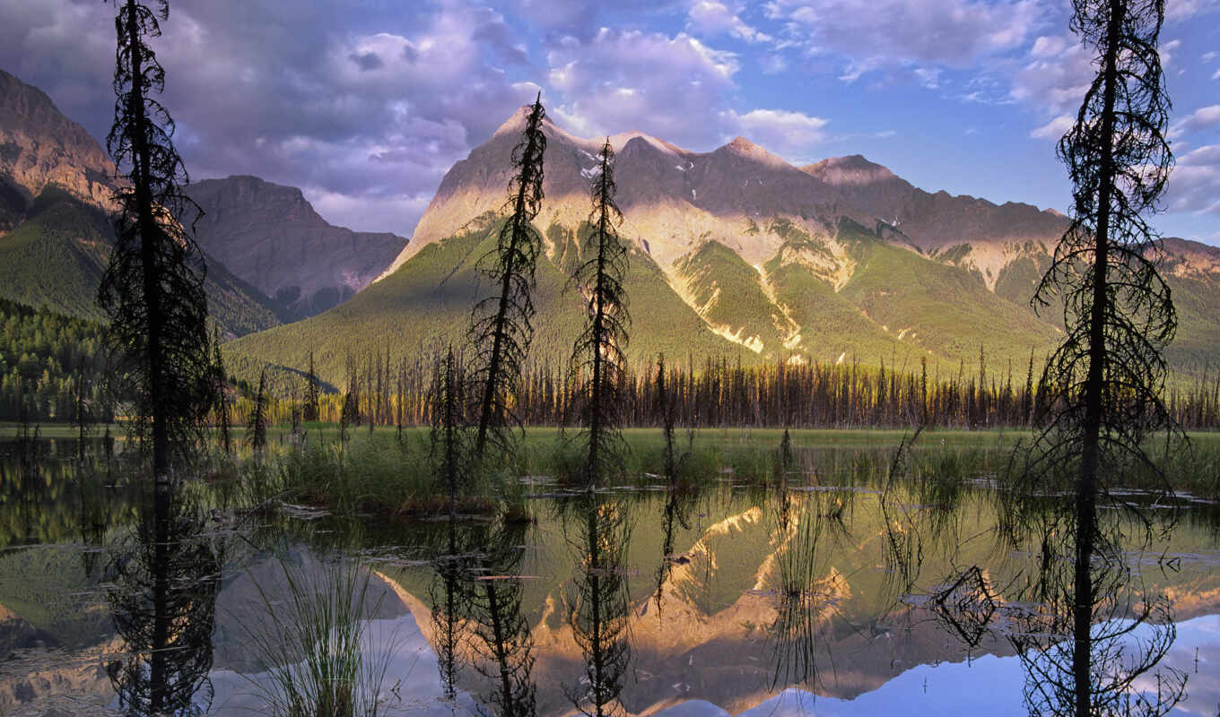 озеро, дерево, гора, landscape, отражение