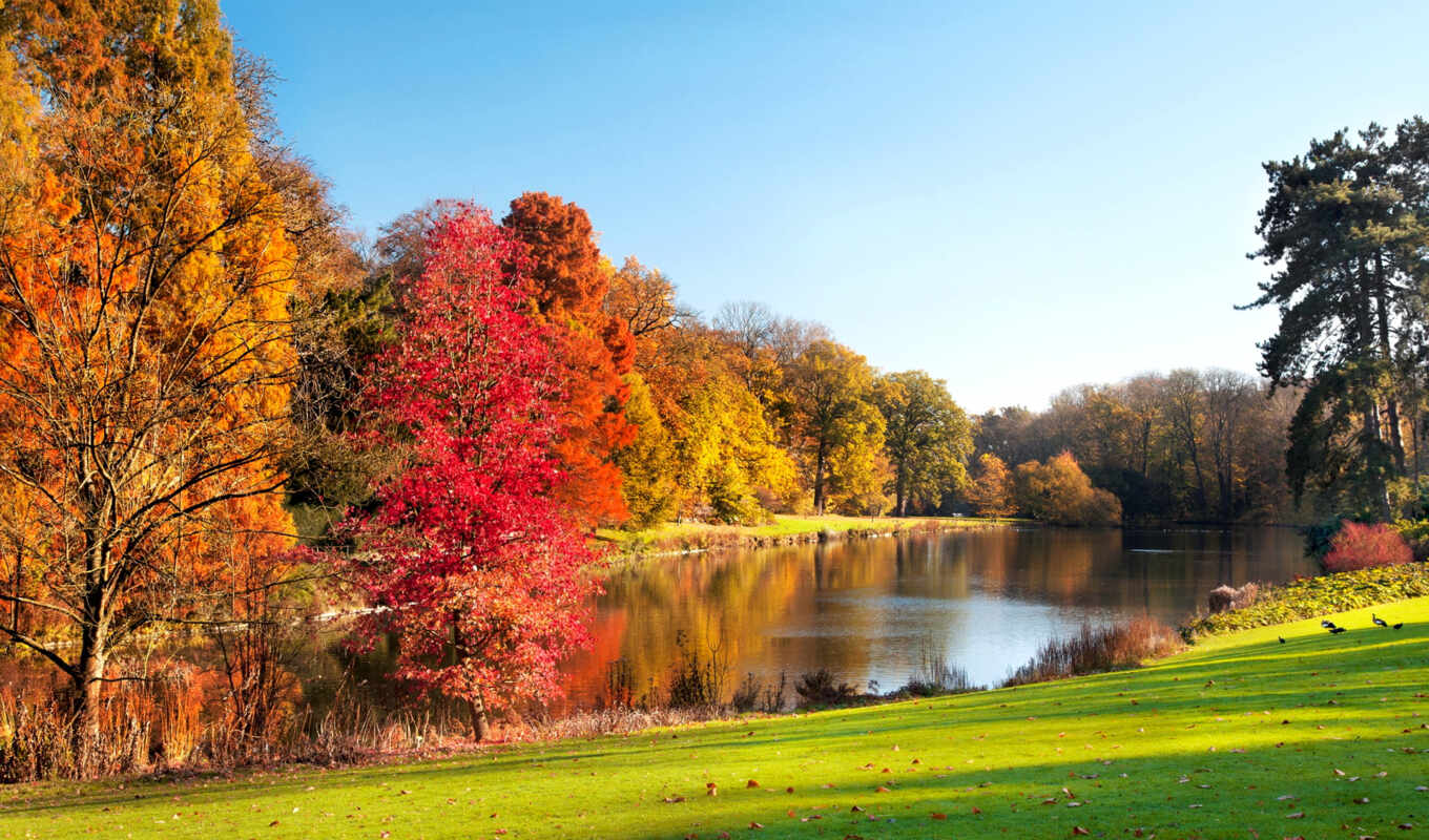 озеро, landscape, фотографий, осень, осенние, park, trees