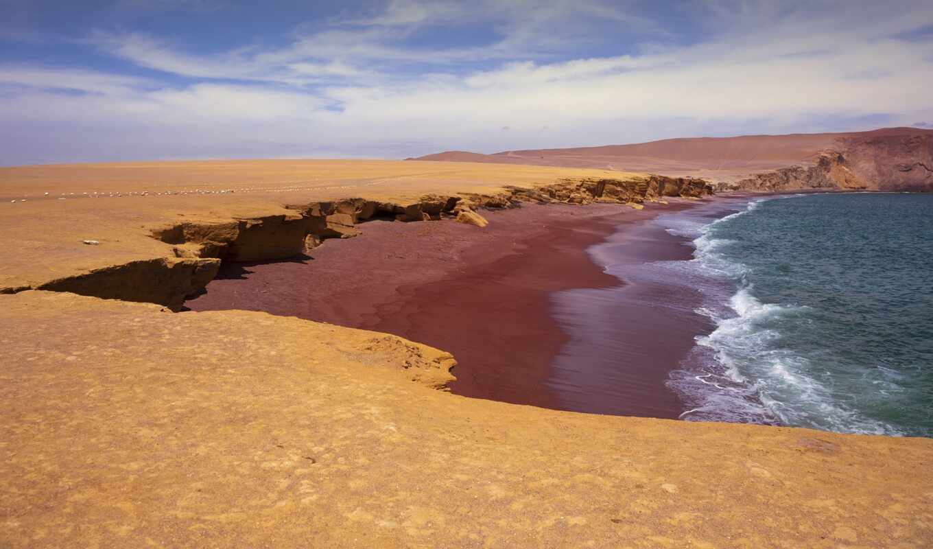 пляж, una, peru, nacional, paracas