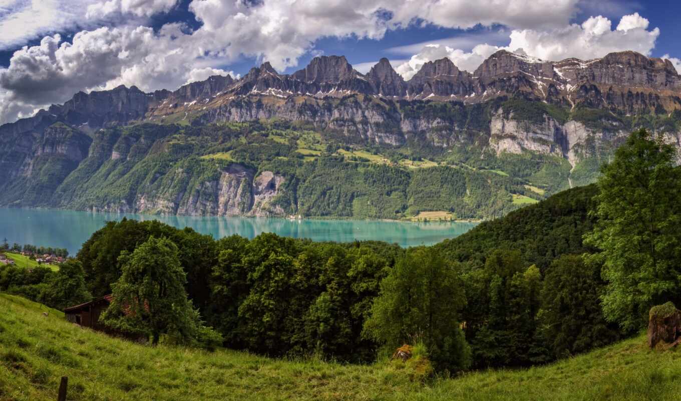 lake, nature, tree, mountain, Switzerland, the alps