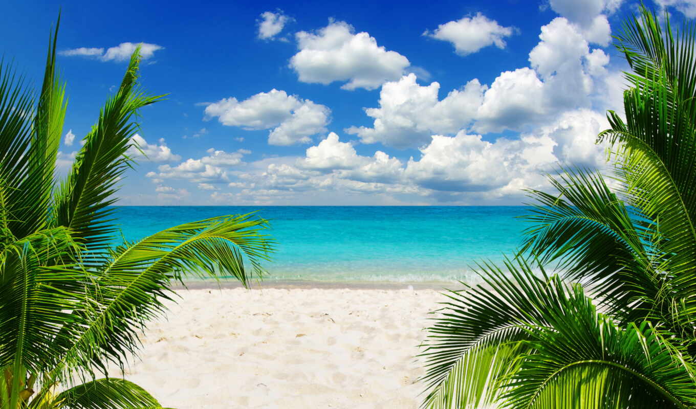 природа, пляж, caribbean, море, бассейн, tropical, zone