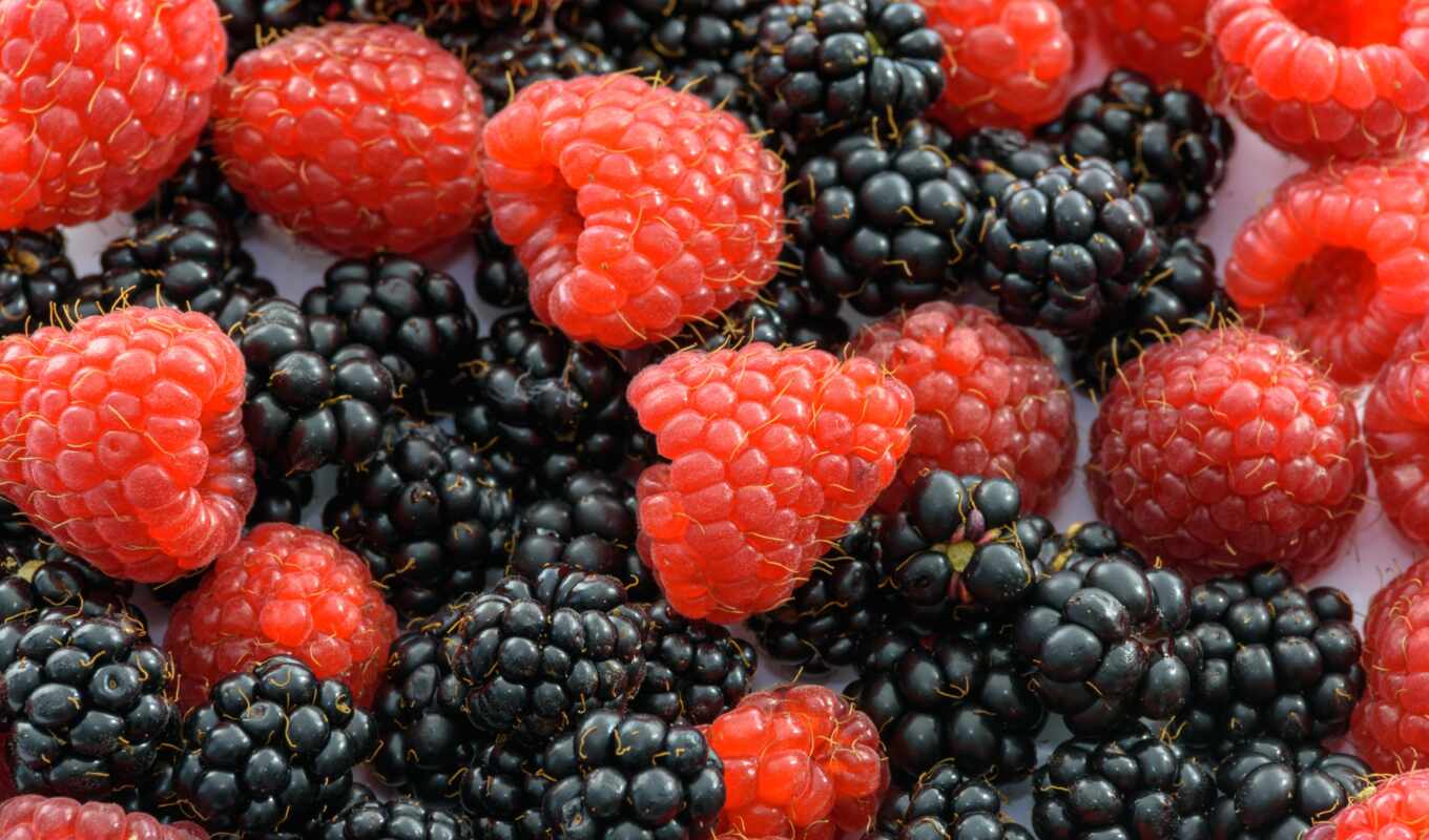 raspberry, blackberry