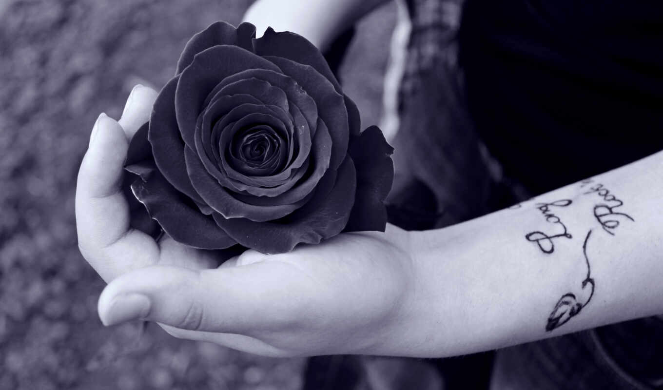 цветы, роза, рука, девушка, татуировка, тату, руке