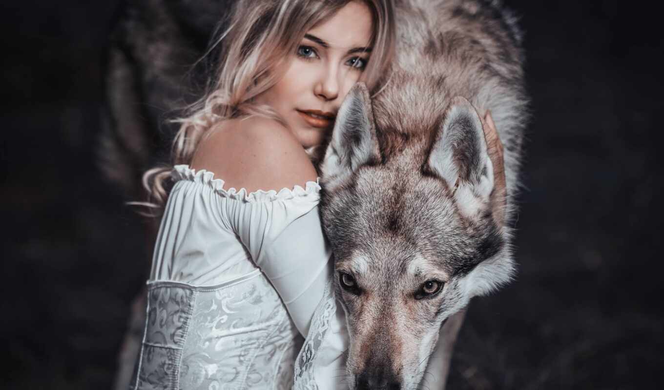 девушка, волк, qui, loups