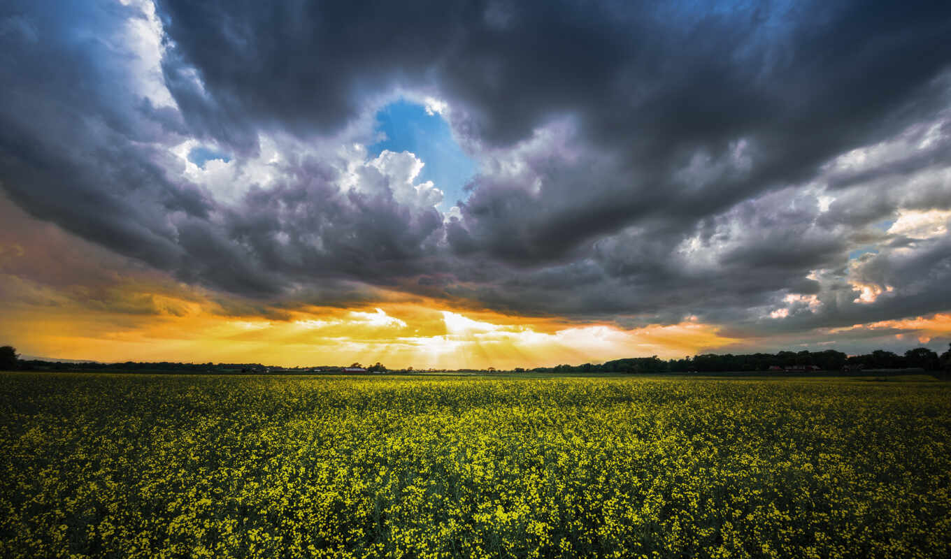nature, the storm, field