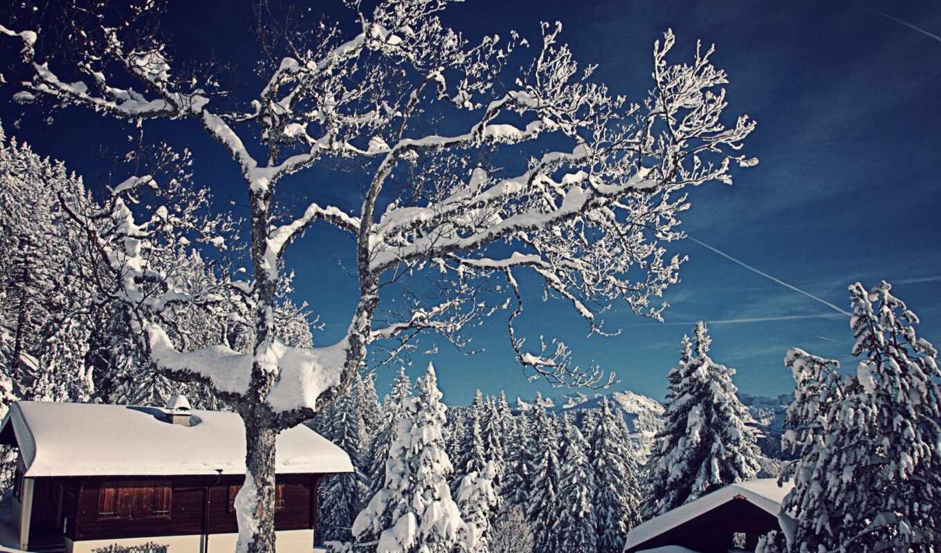 широкоформатные, снег, winter, swiss, trees, швейцария, eli, домики, горы