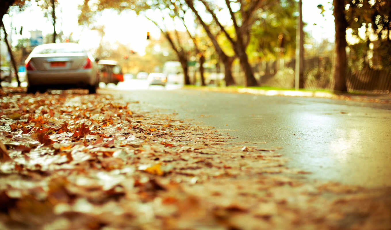 природа, картинка, город, дорога, осень, листва, желтая, highway, асфальт, автомобили