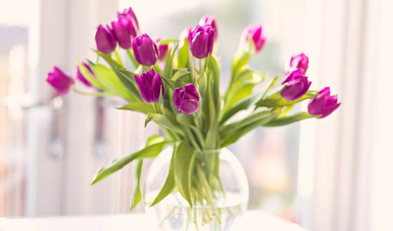 Red, table, buy, vaz, tulips, bouquet, vase, tulips, vase