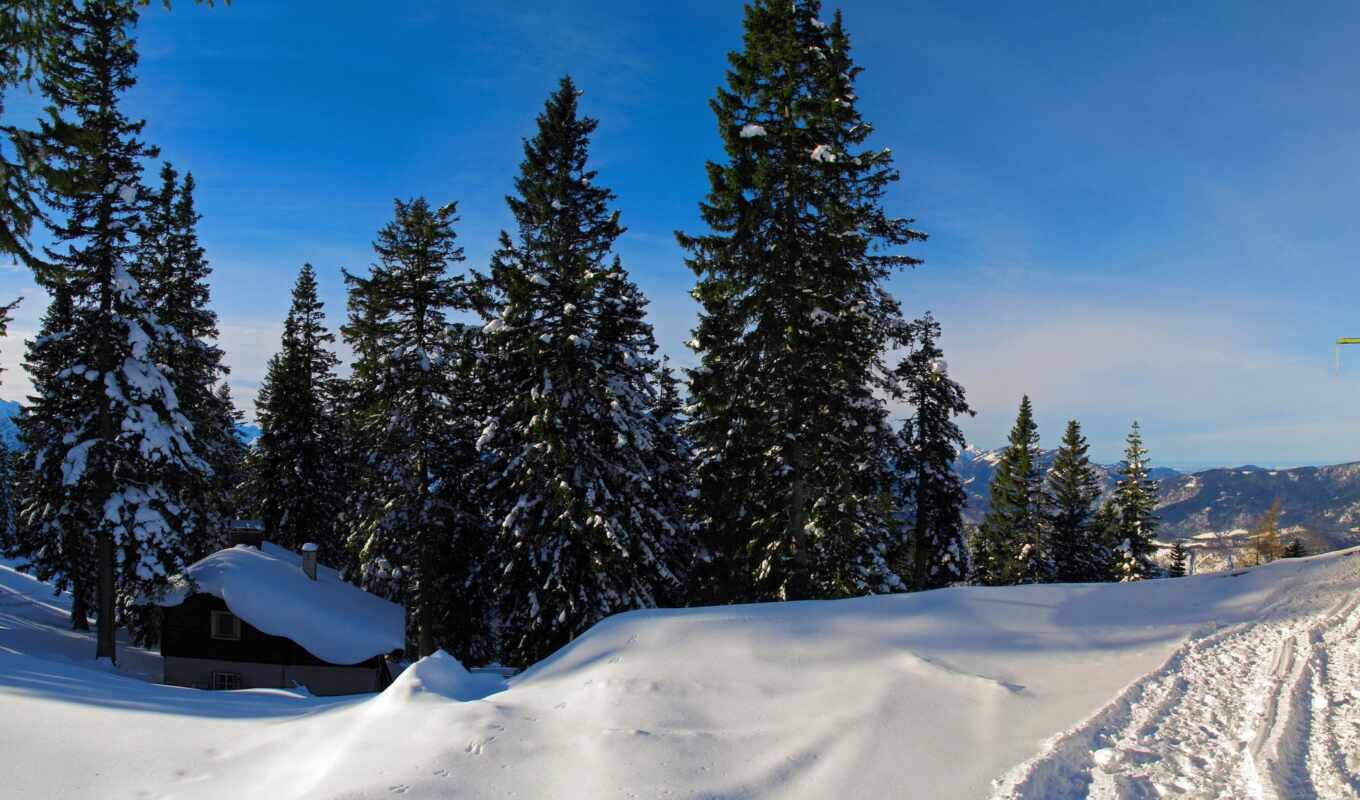 дерево, fir, снег, winter, lodge, cover, тропинка