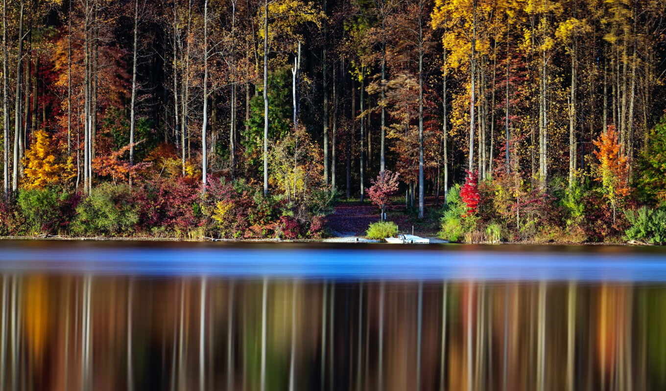 озеро, природа, desktop, дерево, лес, осень, trees, отражение